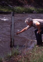 USGS Geologist pointing to high water mark at gauging station in Gibbon Canyon - Erosion/Geology Image