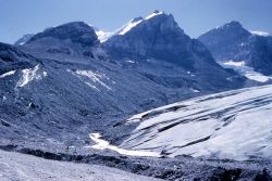 Lateral rubble on stagnant ice at Athabaska Glacier - Geology - Glacial Image