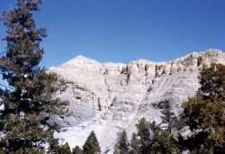 Stroam Channel in wall of the Gardner Canyon - Geology Image