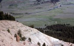 Petrified stump Image