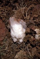 Quartz on lower slopes of Druid Peak - Geology Image