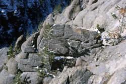 Weathering of Yellowstone tuff at Virginia Cascade Image