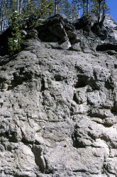 Welded Yellowstone tuff showing gas pockets at Virginia Cascades Image