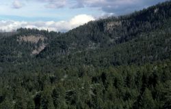 Lava Creek Tuff Image