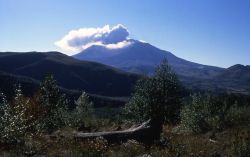 Second steam & ash explosion of Mt St Helens Image