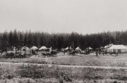 Wylie's Swan Lake Camp 1893-1905 Image