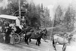 Four horse coach with tourists Image