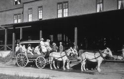 Stagecoach at Mammoth Hotel Image