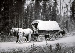 Horse & covered wagon Image