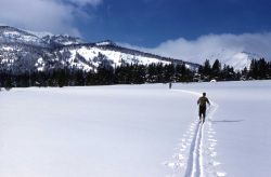 Winter ski patrol on the trail to Bighorn Pass Image