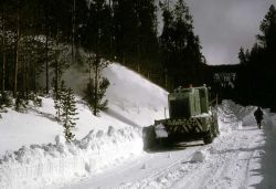 Spring road clearing operations Image