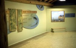 Fishing Bridge visitor center exhibit Image