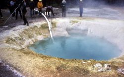 Siphon being used to clean Morning Glory Pool Image