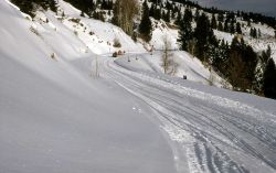 Snowmobilers approaching the Hoodoos Image