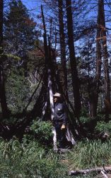 Wickiup near High bridge - History - Indians Image