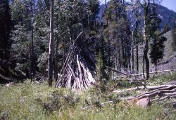 Wickiups at Wigwam Creek, now called Wickiup Creek - History - Indians Image