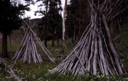 Wickiups at Wigwam Creek, now called Wickiup Creek, Gallatin Mountain Range - History - Indians Image