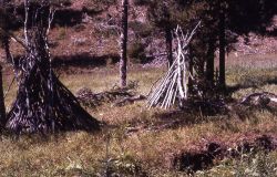 Wickiups frame on Wigwam Creek, now called Wickiup Creek - History - Indians Image