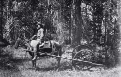 Horse drawn odometer Image