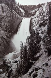 Lower Falls of the Yellowstone Image