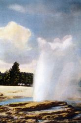 Postcard of Lakeshore Geyser Image