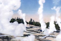 Postcard of Norris Geyser Basin Image