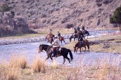 Wranglers watering horses & crossing Gardner River - bison release Image