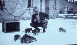Unidentified man with wolf pups in front of the blacksmith shop, pups were captured in April 1922 Image