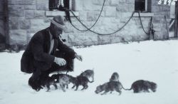 Unknown man with wolf pups captured in Aprill 1922 Image