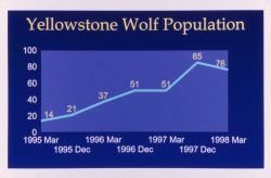 Yellowstone National Park wolf population map Image