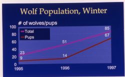 Winter wolf pupulation map Image