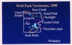 Wolf territory map Image