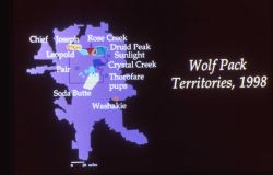 Wolf pack territories 1998 map Image