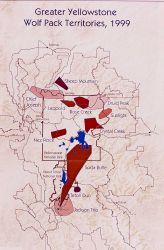 1999 Greater Yellowstone wolf pack territories map Image