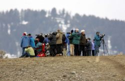 Wolf watchers at Slough Creek Image