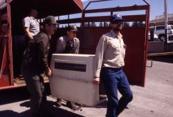 Unloading trailer with Trail Creek wolves Photo