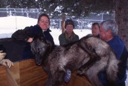 Lisa Belmoute, Michelle, Deb Guernsey & Homar Luther at Rose Creek wolf pen Image