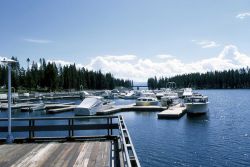 Bridge Bay marina Image