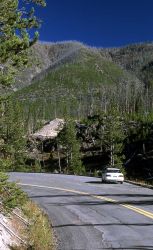 Location of new Gibbon River bridge Image