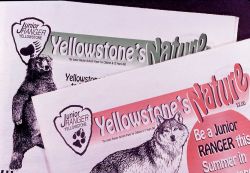 Both copies of the Junior Ranger activity paper Image
