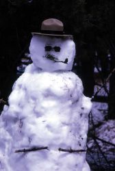 Naturalist snowman, the result of a June snowstorm Image
