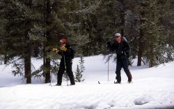 Yellowstone Association/Yellowstone Institute Winter Wonderland employee Mark Williams skiing on the Lone Star trail Image