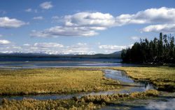 Wetland habitat at the mouth of Thumb Creek Image