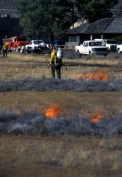 Roy Renkin, Yellowstone Center for Resources, on Russian Thistle prescribed burn Image