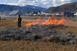 Roy Renkin, Yellowstone Center for Resources, on Russian Thistle prescribed burn Image