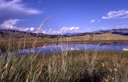 Lamar Valley, glacial pothole pond near Junction Butte, Cutoff Mountain Image