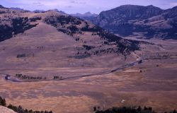 Lamar Valley, confluence of Lamar River and Soda Butte Creek, The Thunderer, Index and Pilot Peaks Image