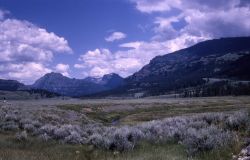 Looking northeast from Soda Butte, Abiathar Peak & Amphitheater Mountain Image