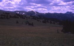 Near Hoodoo Peak Image