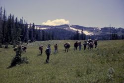 Bighorn Pass Image